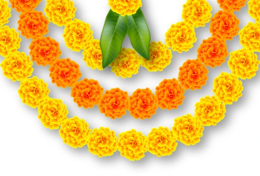 10 Sustainable Hacks for a Greener Festive Season