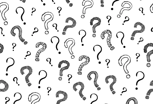 10 Key Questions Business Leaders Must Ask Before Investing in Sustainability