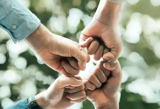 Sustainability Team : Mastering the 6 Essential Skills for Success