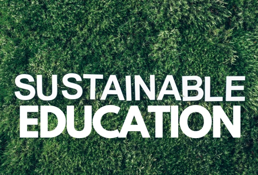 5 Ways Colleges Champion Sustainability Education
