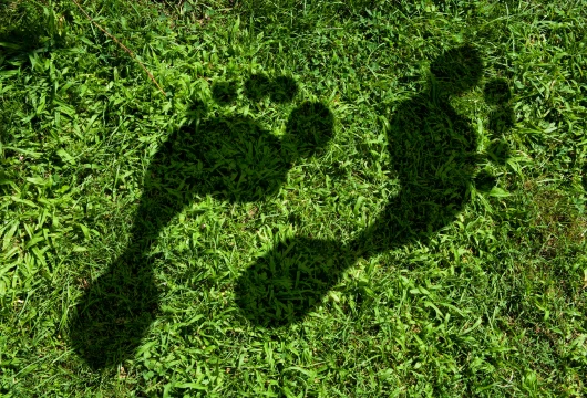 China to Establish National Carbon Footprint System