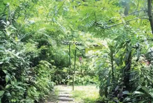 Pune District's First Bio-Diversity Park to Be Set Up by PCMC