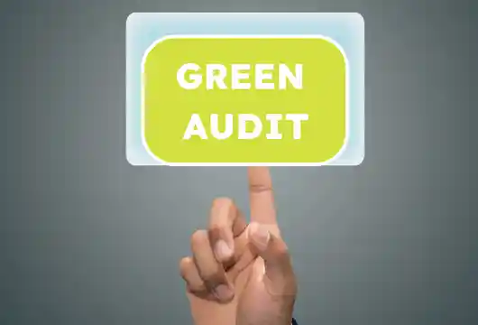Now on the anvil: Green auditors