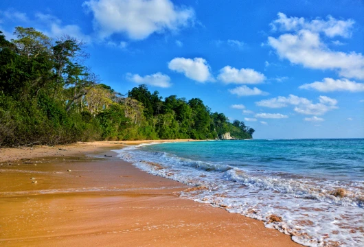 Andaman and Lakshadweep Islands Lead 100% Renewable Energy Revolution
