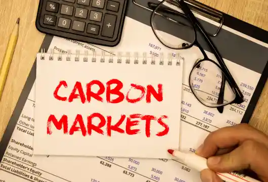 U.N. Proposes Guidelines to Reform Carbon Markets Amid Environmental Scrutiny