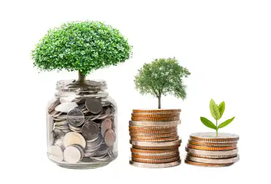 RBI has released a framework for green deposits