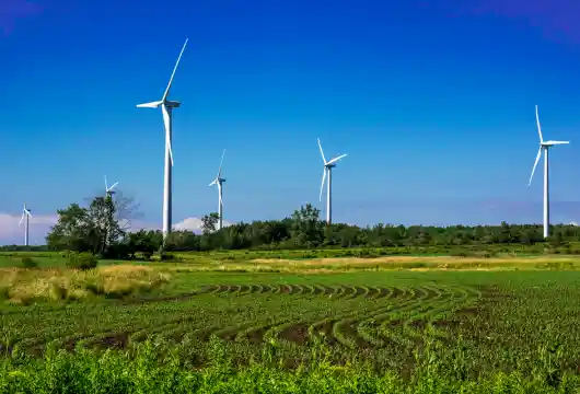 Jakson Green wins over 1 GW of renewable EPC orders