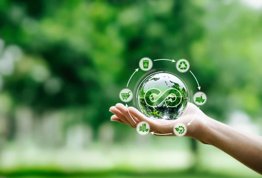 Goshree Islands Embrace Carbon Neutral Future
