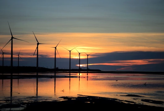 Coal India Targets 5 GW Renewable Transition by 2028