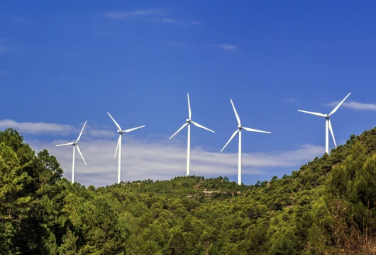 Odisha Sanctions Rs 4.11 Billion for Renewable Energy Projects