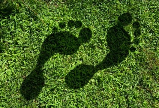 AkzoNobel Partners with BASF to Lower Paints’ Carbon Footprint in EMEA