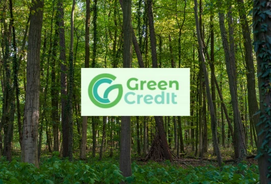 Environmental Vanguard: MP's Green Credit Programme