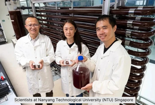 Revolutionary Process Converts Waste into Green Hydrogen