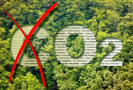 CarbonFree's Game-Changing Zero-Carbon Innovation Unveiled  