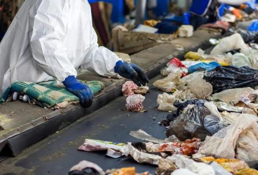 Boosting Delhi's Waste-to-Energy Projects for a Cleaner Future