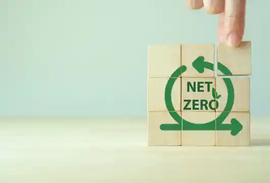 CarbonPool Secures $12M Funding to Pioneer Carbon Credit Insurance
