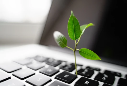 Startupbootcamp India Powers Climate Tech Surge