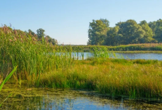 Innovative Partnership Around Water Replenishment