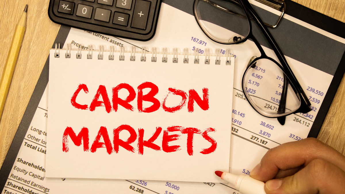 Carbon trading portal is live